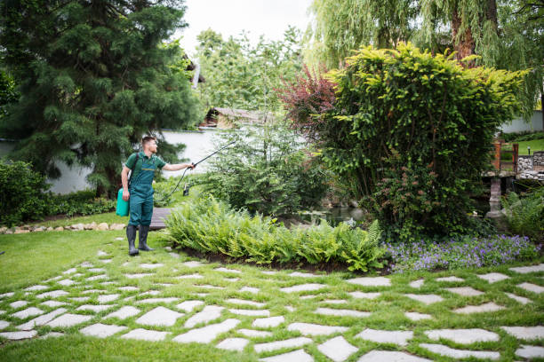 Best Bird Control  in Port Hueneme, CA