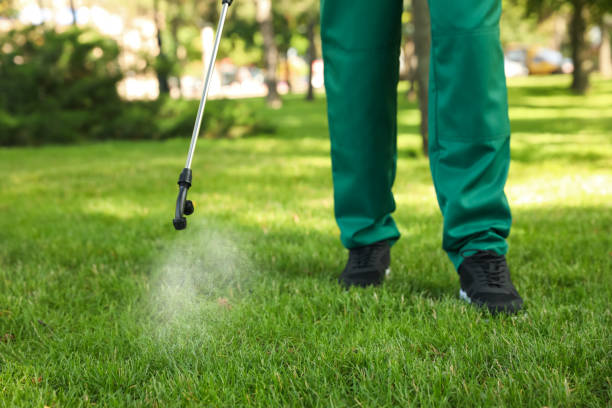 Best Wildlife Control Services  in Port Hueneme, CA