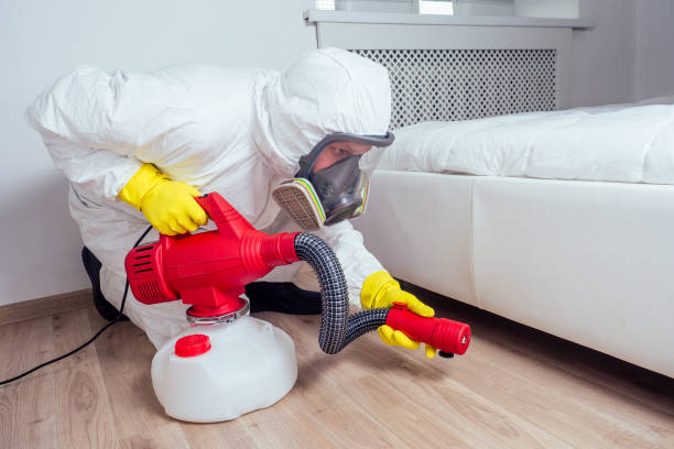 Best Residential Pest Control  in Port Hueneme, CA