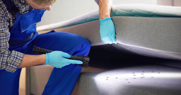 Best Affordable Pest Control Services  in Port Hueneme, CA