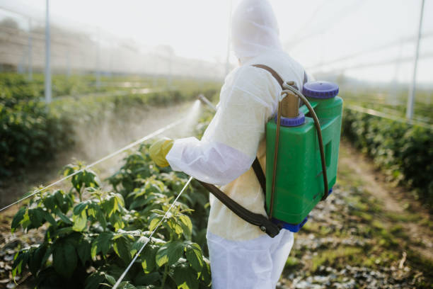 Wildlife Control Services in Port Hueneme, CA